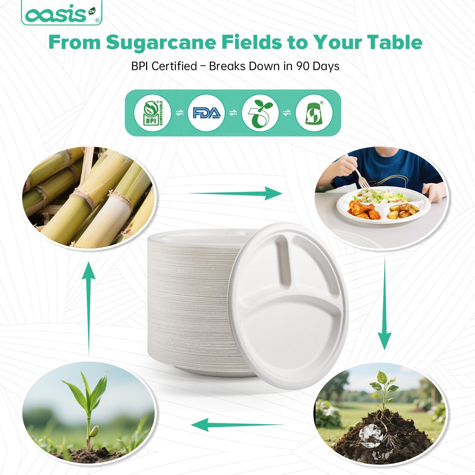OasisSN [10 inch, 128-PACK] 3-Compartment Disposable Paper Plates, Compostable Heavy-Duty Divided Plates for Meal Prep, School Lunches & Party Buffets (White)