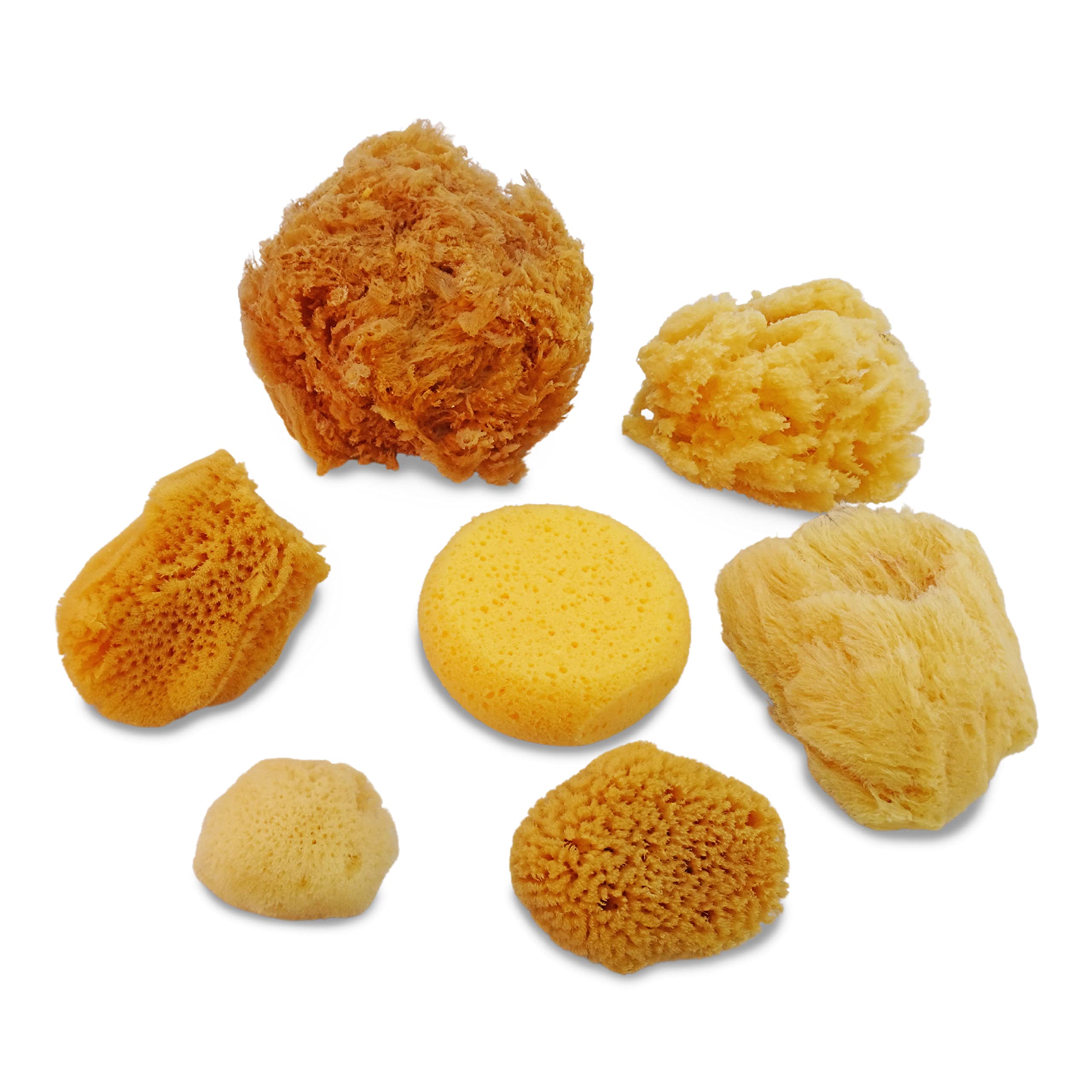 Lullingworth® Natural Sea & Synthetic Sponges - Assorted Sizes 7pc Value Pack for Crafts & Artists: Great for Painting, Acrylic Texturing, Hobbies, Art, Effects, Ceramics, Clay, Pottery