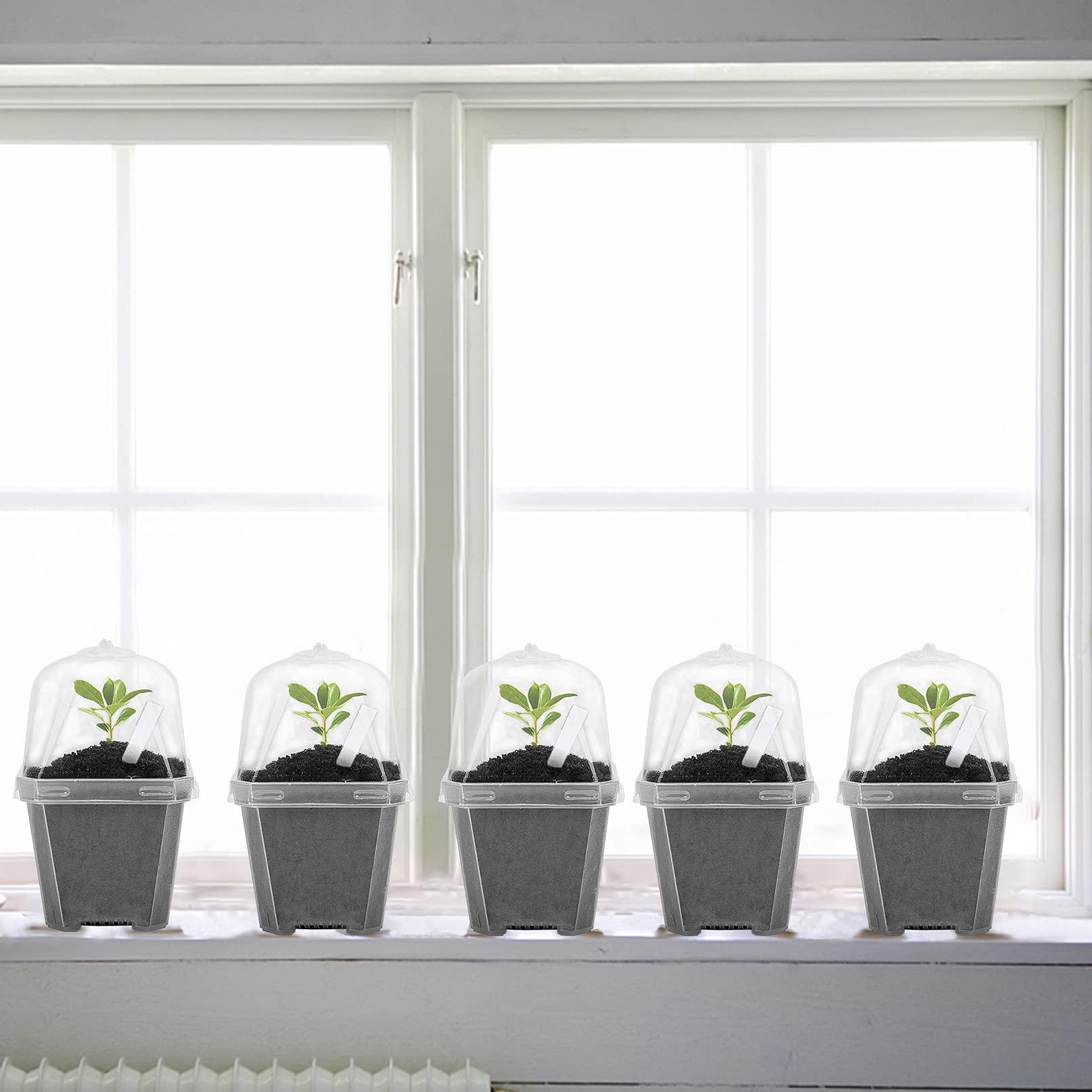 EBaokuup 10pcs Clear Plant Nursery Pots with Humidity Dome - 3" Durable Plastic Gardening Pot with Labels, Small Plant Container for Seedlings/Vegetables/Succulents/Cuttings (3“-10pcs)