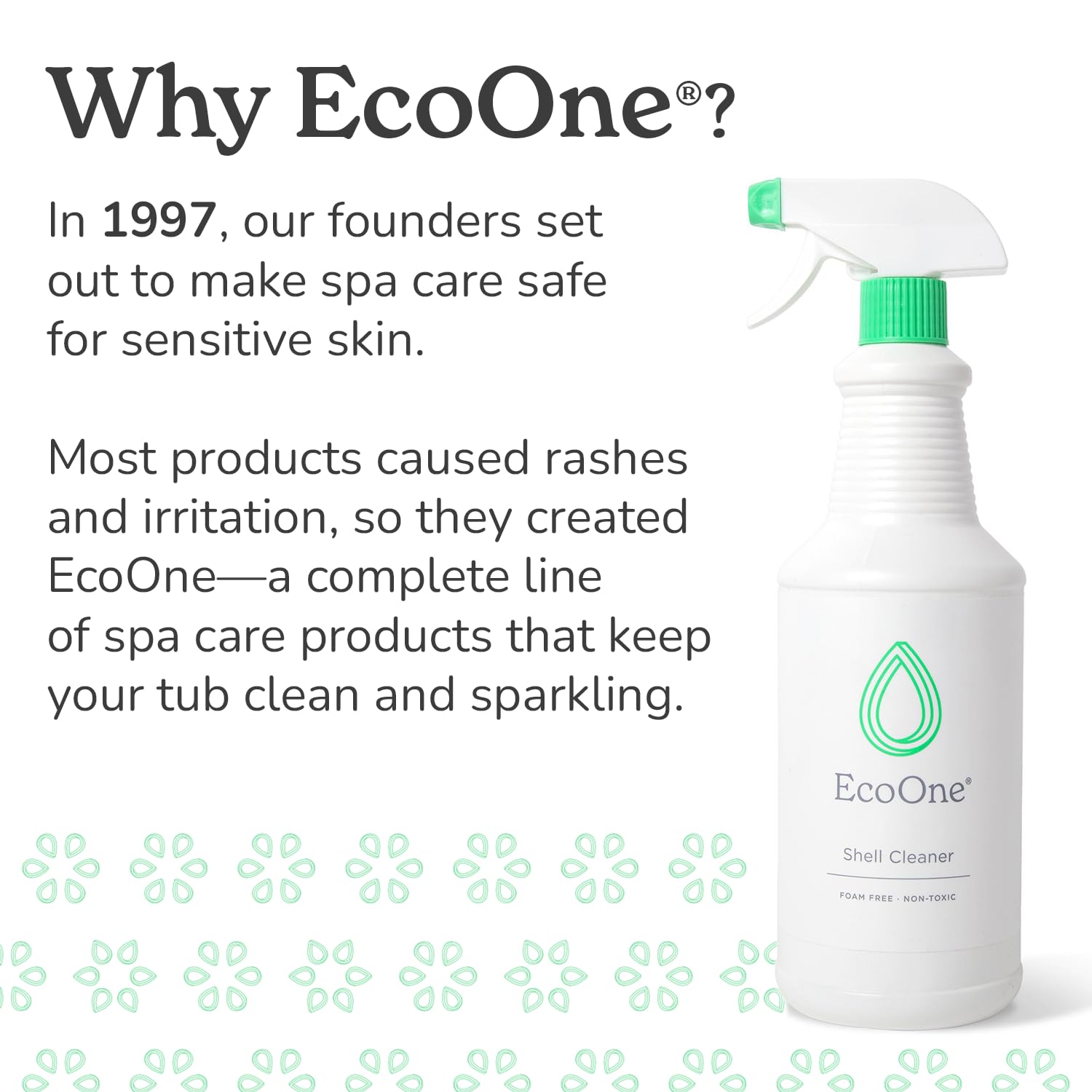 Filter Cleaner by EcoOne | All-Natural Spa & Hot Tub Filter Cleaner | Foam-Free, Chlorine-Free, & Phosphate-Free Spa Filter Cleaner | Prolongs Filter Life and Leaves No Residue, 8 Oz