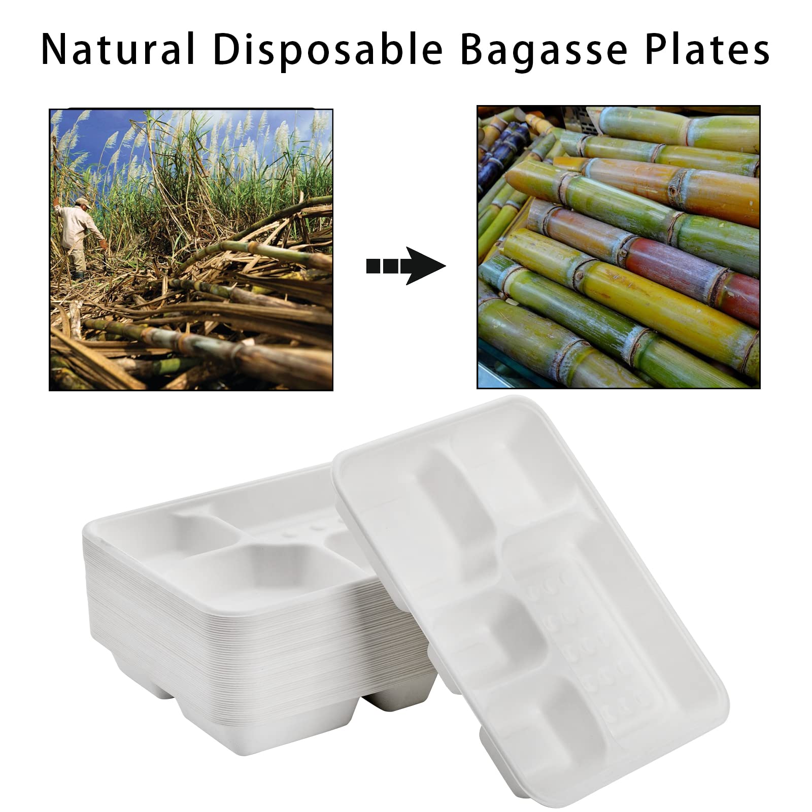 Hacaroa 50 Pack 5-Compartment Compostable Paper Plates, Natural Disposable Bagasse School Lunch Trays, Deep Divided Plates for Party, Picnic, Biodegradable, White