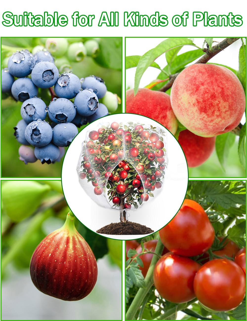 wohohoho 6.6 x 6.6ft Large Fruits Tree Netting, Insect Bird Barrier Tree Net with Drawstring and Zipper, Plant Cover Fruit Tree Protection to Prevent Tomato Blueberry Vegetables from Squirrels Birds