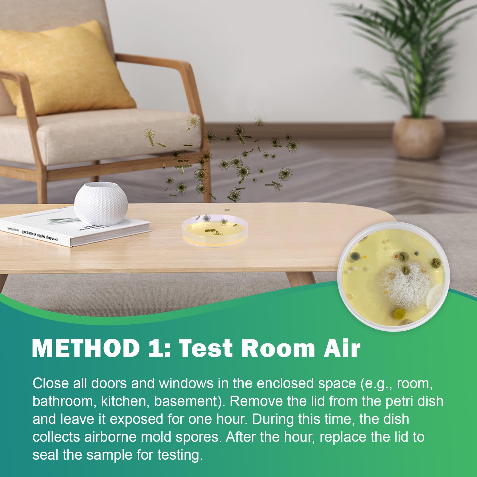 Carethetic Mold Test Kit for Home - 6 DIY Tests Included for Air, Surface & HVAC, Lab Analysis & Expert Consultation
