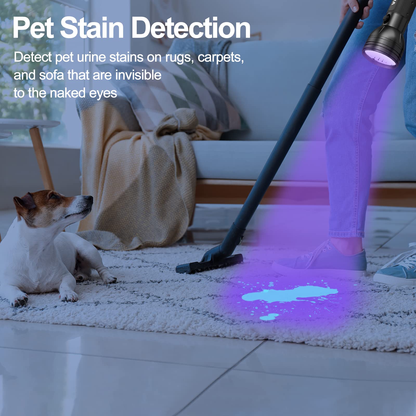 Black Light UV Flashlight, Vansky Upgraded 51 LED Ultraviolet Blacklight Pet Urine Detector for Dog/Cat Bed Bug (Batteries are included)