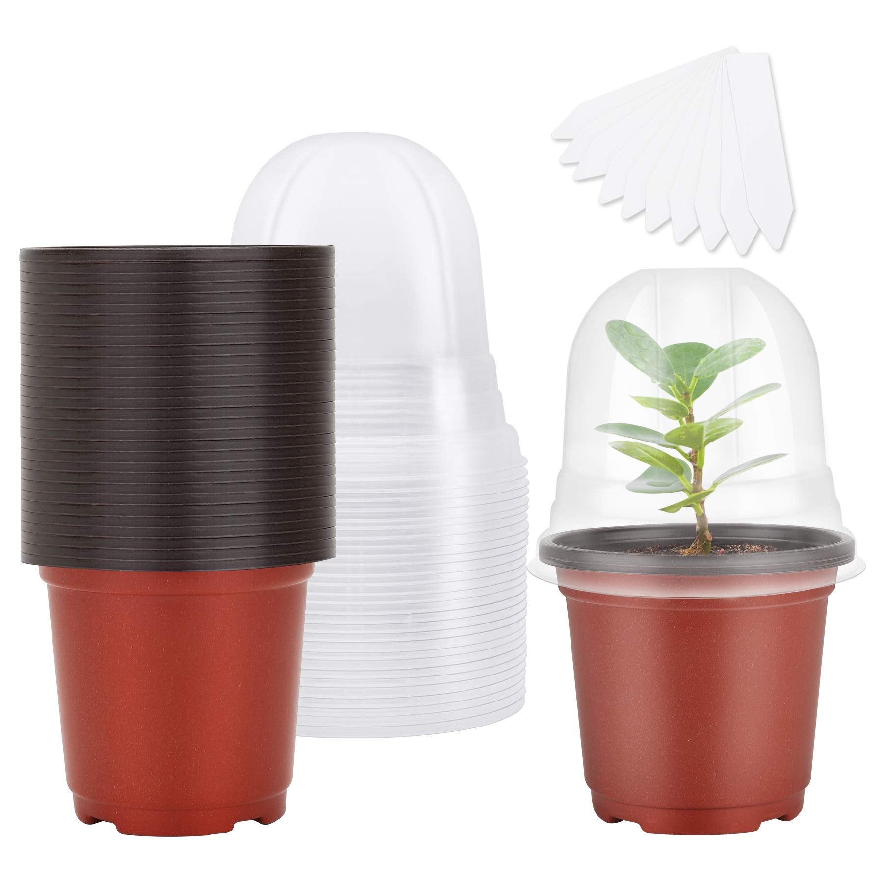 MIXC Plant Nursery Pots with Humidity Dome 4" Soft Transparent Plastic Gardening Pot Planting Containers Cups Planter Small Starter Seed Starting Trays for Seedling with 10pcs Plant Labels，30 Sets
