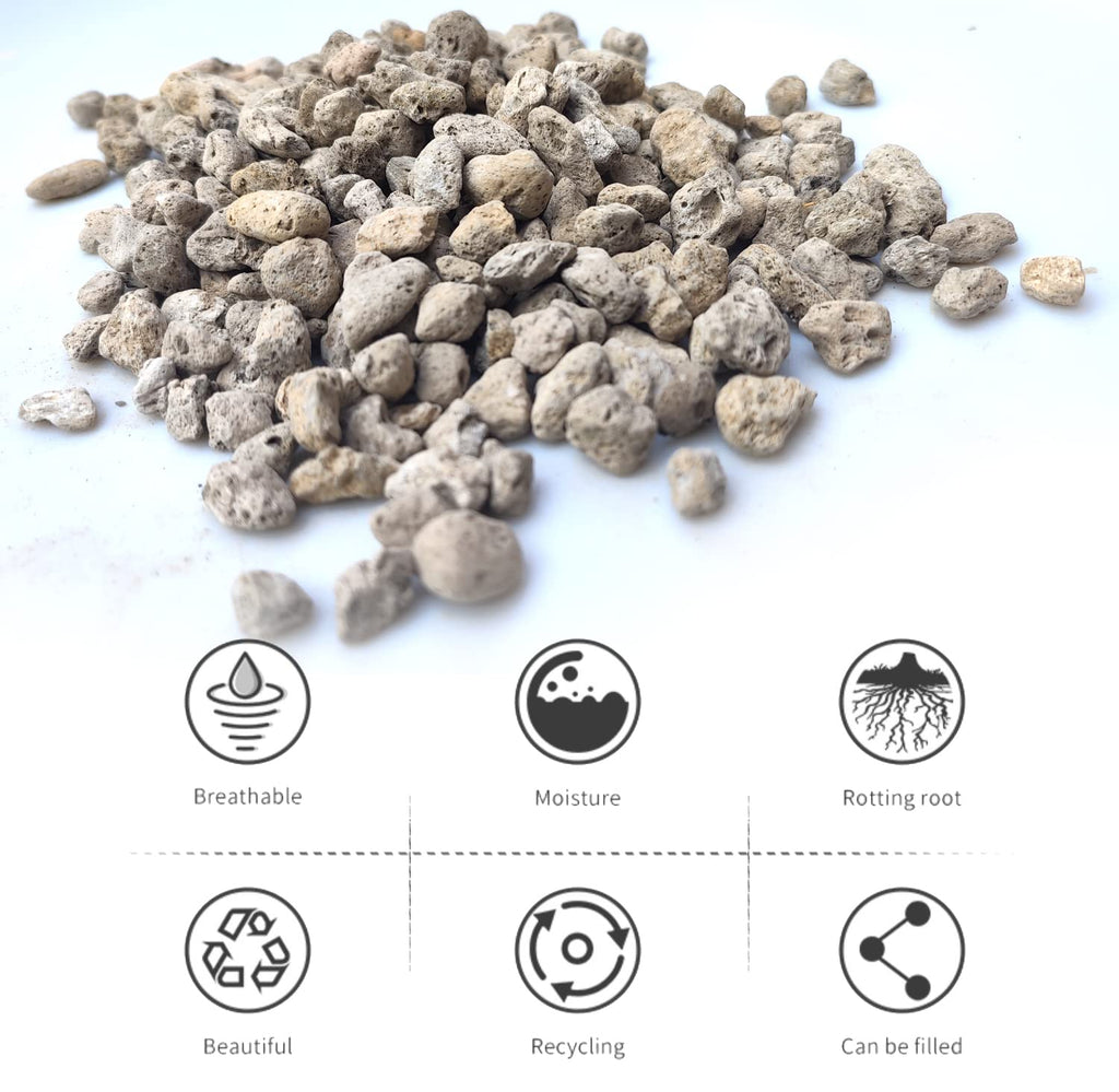 Horticultural Pumice for Plants Professional Sifted - for Succulents, Cactus, Bonsai Plants (1/4 inch, 4.5L)