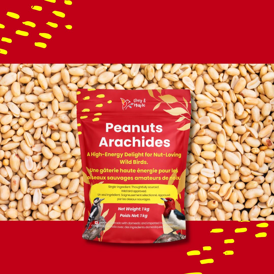 Chirp & Maple, Premium No Shell Peanuts for Wild Birds - Unsalted Raw Kernels, High Protein Wild Bird Food Attracts Blue Jays & Woodpeckers, 1KG Bag