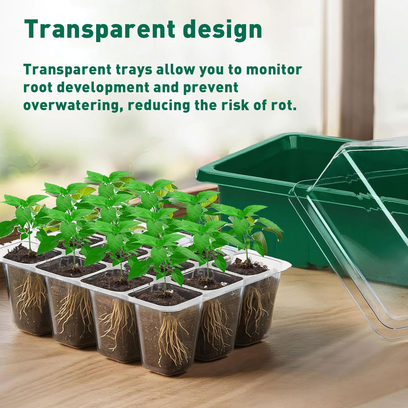 Seed Trays, 5 Pack Plant Seed Starter Tray with Humidity Domes, 60 Cells Total + Planting Tools & Labels, Reusable Indoor Seedling Germination Kit