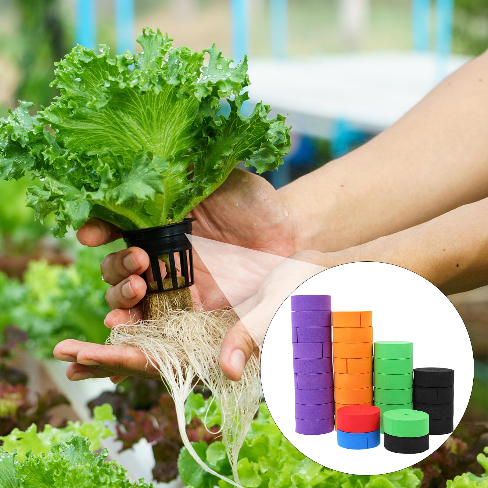 Yardwe 50Pcs Garden Clone Collars Clone Machine Inserts with Spokes for Plant Cutting Rooting Germination (Random Color)