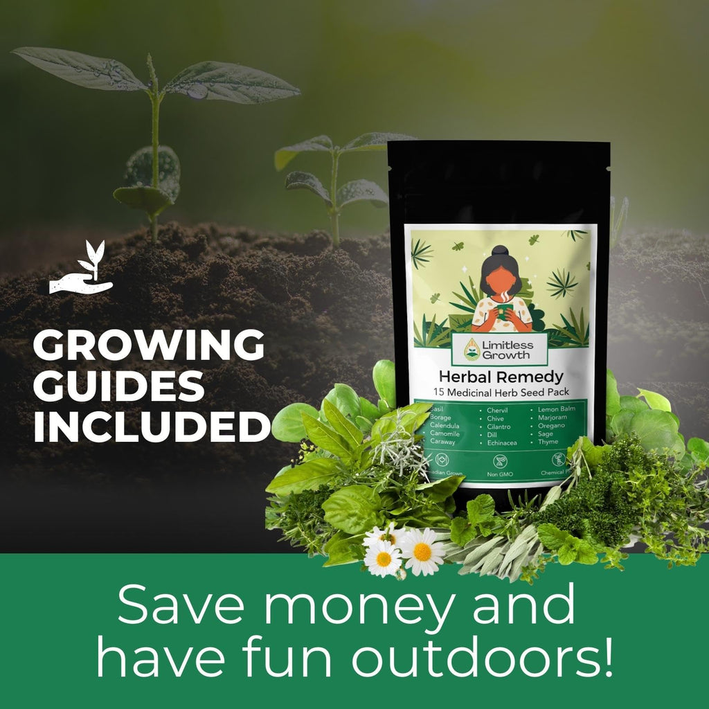Herbal Remedy Seed Pack | 15 Varieties of Flower & Herb Seeds for Your Medicinal Garden | Easy to Grow, Balcony-Friendly | Borage, Basil, Calendula, Chamomile, Caraway & More | Limitless Growth