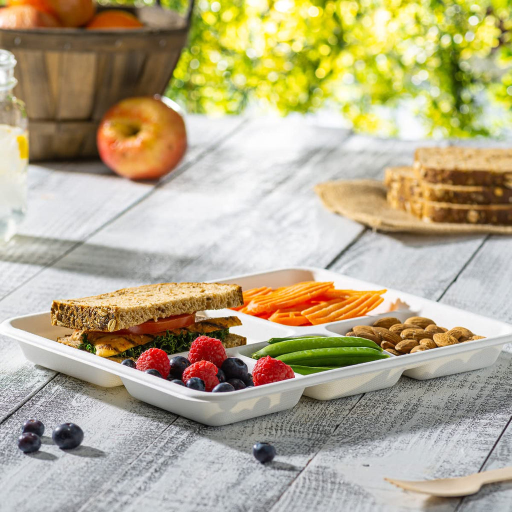 Gusto [10 Inch - 125 Pack] Heavy-Duty Plates, 5 Compartment Disposable Sugarcane Paper Party Plates - Formerly Comfy Package