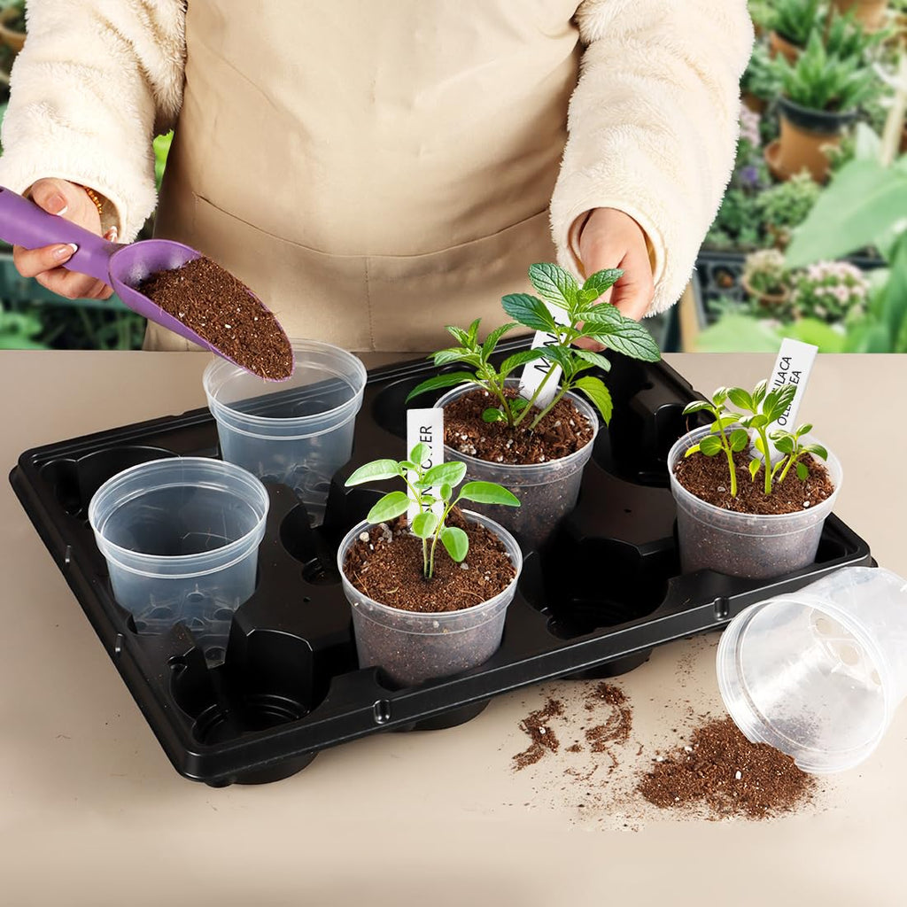 BTPLASTIK Clear Nursery Pots with Drainage Holes (Clear, 4 Inch-30P)