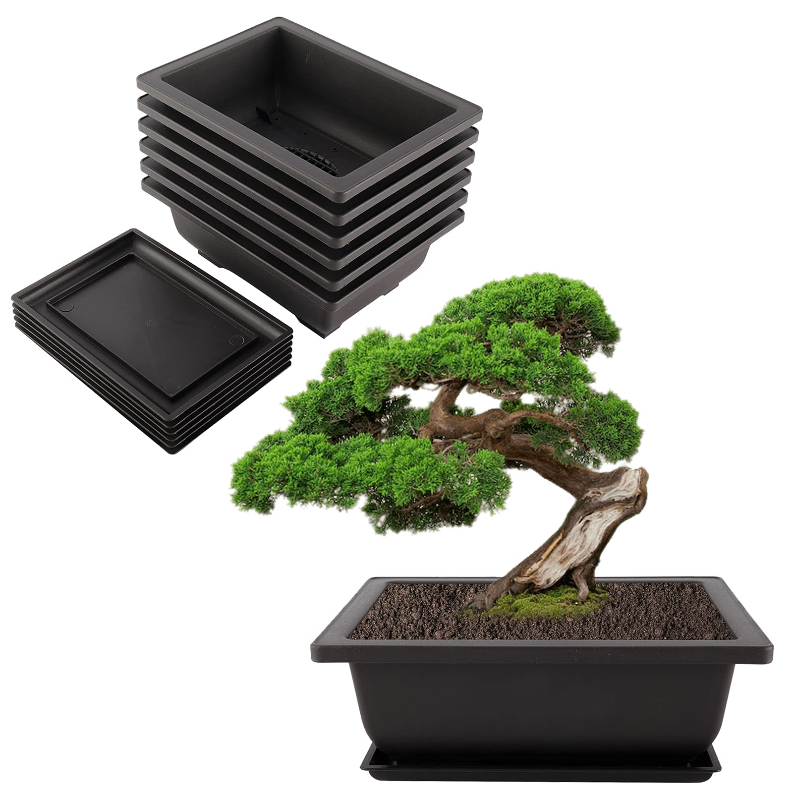 Artilife 6Pcs 6.5Inch Bonsai Pots,Plastic Bonsai Training Pots Humidity Trays Square Nursery Pots for for Plants, Flowers, Herbs, African Violets & Seed Nursery