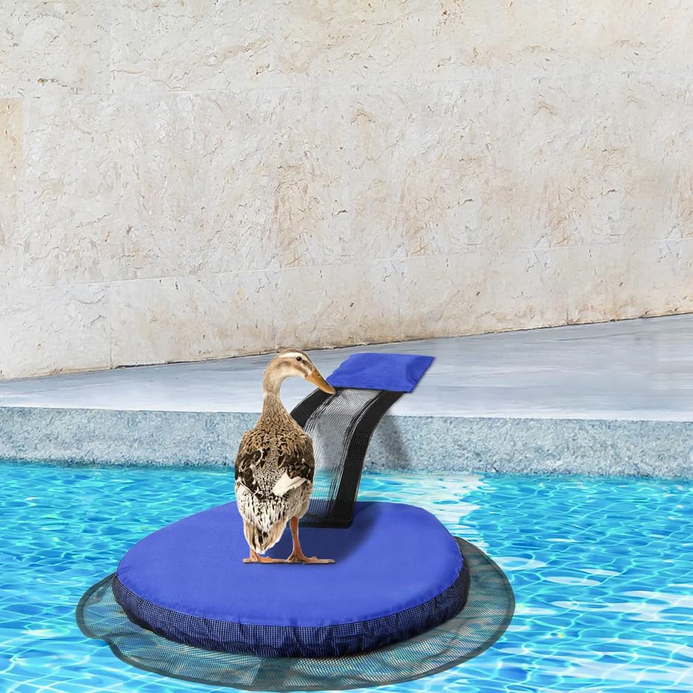 2 Packs Animal Rescue Escape Ramps for Swimming Pool Frog Floating Ramp Rescues Toads Lizards Ducks Snakes Squirrel Chipmunk Pool Maintenance Accessories Floating Ramp Tooll Spa Accessories Tools