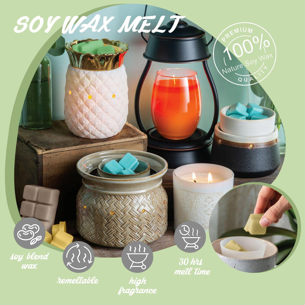 SALUBRITO Spring Scented Wax Melts, Soy Wax Cube/Tarts Variety Gift Set, Rain, Fresh Cut Grass, Ocean Breeze, Sweet Pea, Rose Geranium, Gardenias, Freesia, Bamboo