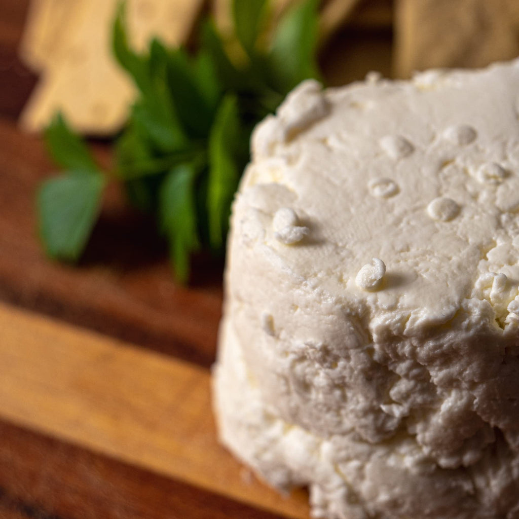 Cultures for Health Mesophilic Cheese Starter Kit | 4 Direct-Set Cultures & 2 Rennet Tablets | DIY Cheddar, Colby, Quark, Feta & More