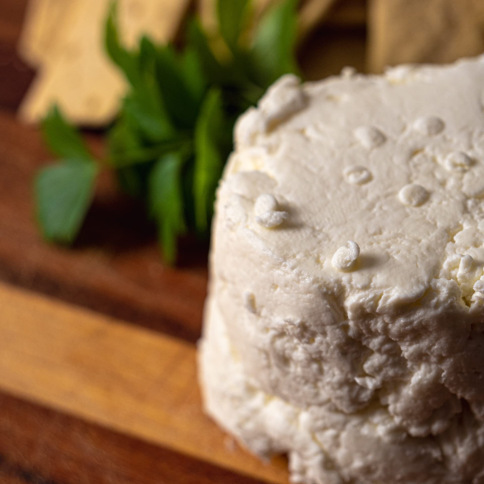 Cultures for Health Mesophilic Cheese Starter Kit | 4 Direct-Set Cultures & 2 Rennet Tablets | DIY Cheddar, Colby, Quark, Feta & More