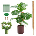 1 Pack 63 Inch Moss Pole for Climbing Plants, 3cm Diameter Coir Totem with 7mm Sturdy Aluminum Core, Bendable Plant Support for Monstera, Philodendron, Pothos, Indoor Garden Stake (160cm)