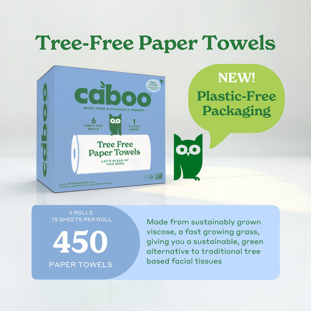 Caboo Tree Free Paper Towels, 6 Rolls, Earth Friendly Sustainable Kitchen Paper Towels with Strong 2 Ply Sheets
