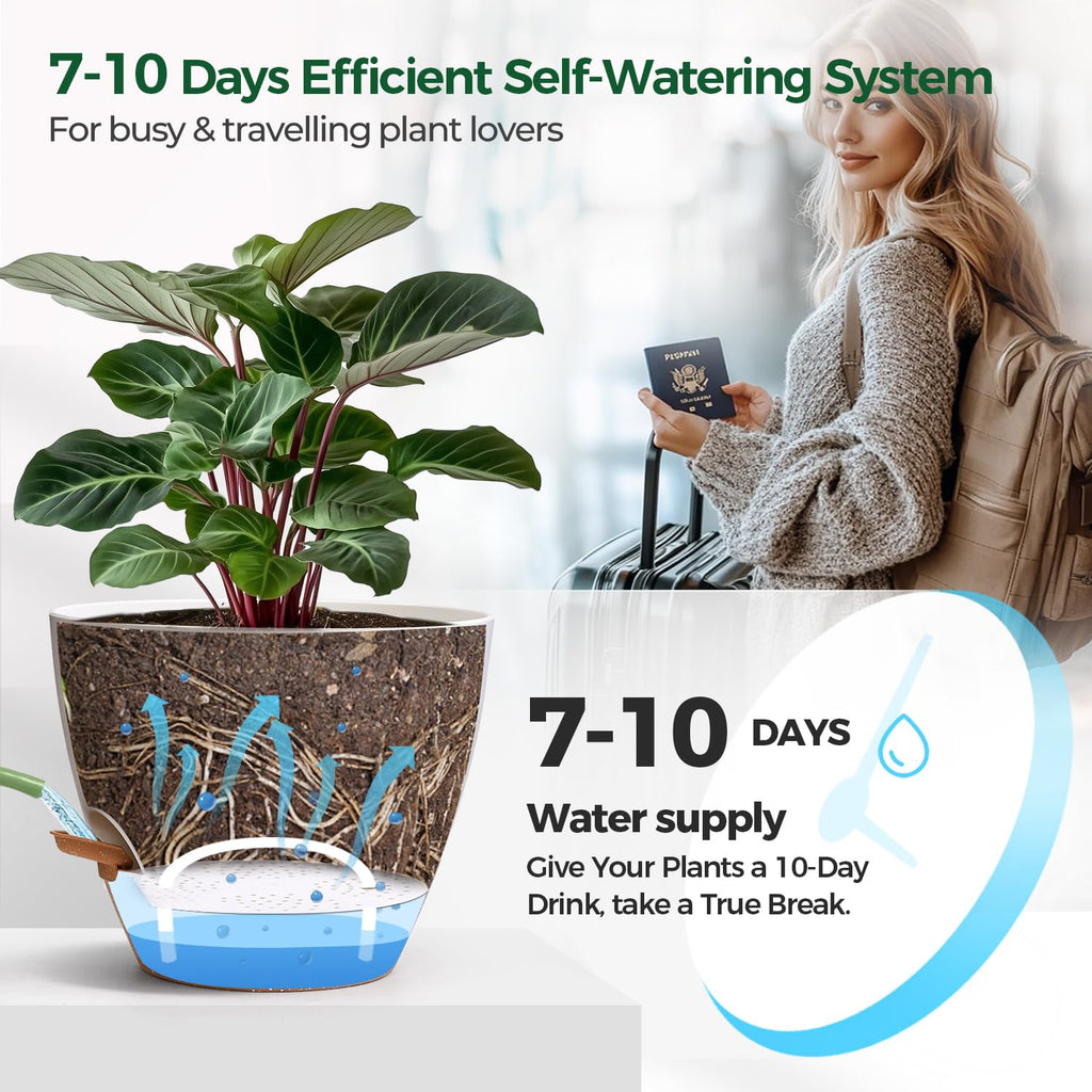 T4U Self Watering Pots 6 Inch 4 Pack, Plastic Planters with Water Level Window and Wick Rope for Busy People, Bottom Watering Pot for African Violets, Herbs and Pothos, Indoor Home Decor(White)