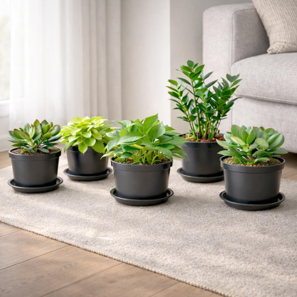 10 Pcs Plastic Pots for Plants, 5 Inch Small Plant Pots Indoor, Decorative Plant Pots with Drainage Holes and Tray, Small Flower Pots for All Home Garden Flowers Succulents