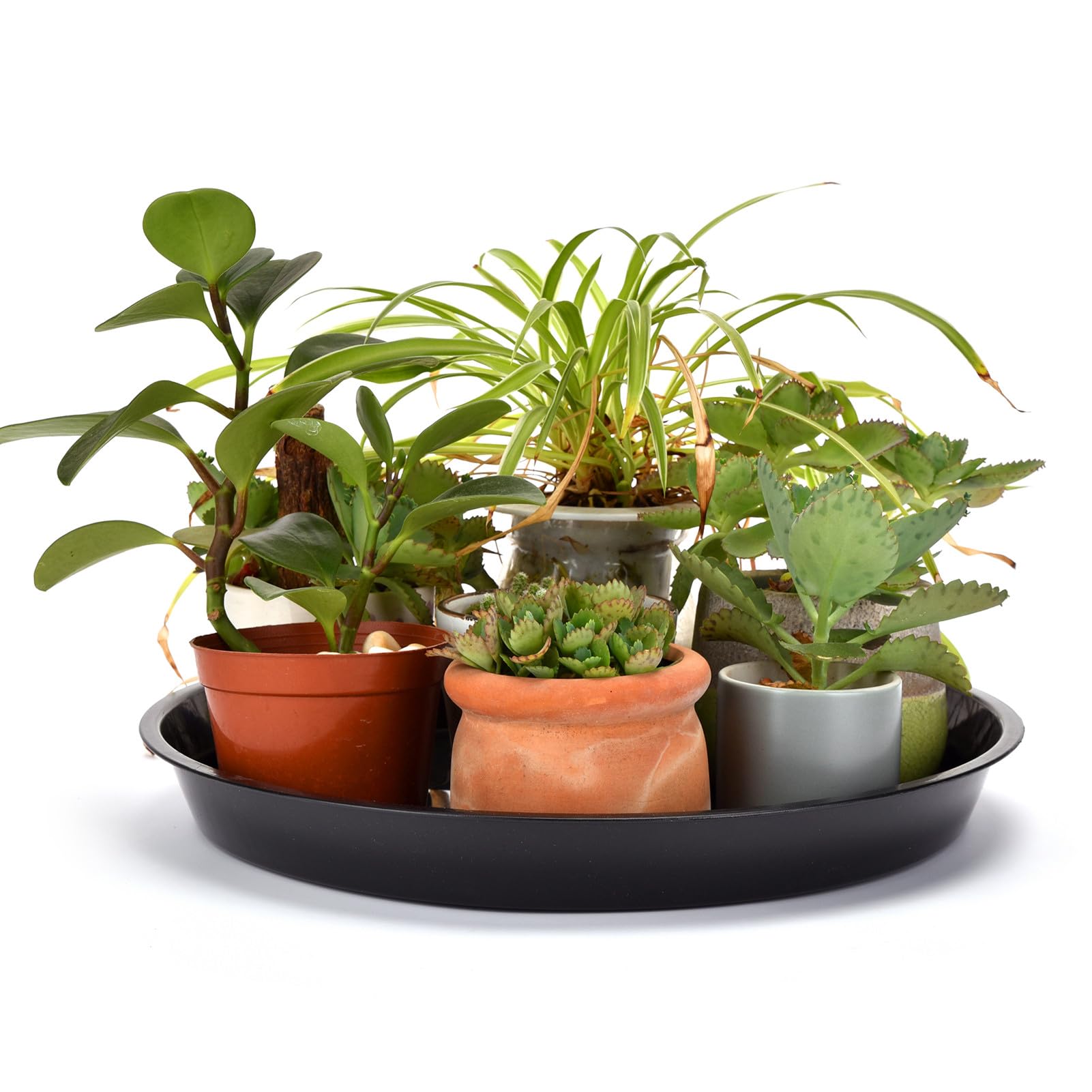 GRESPRI 13 Inches Black Plant Saucers 5 Packs Heavy-Duty Round Plant Trays, Sturdy Flower Pot Containers, Plastic Plant Drip Trays for Indoor/Outdoor Plants. (11 inches in Base)