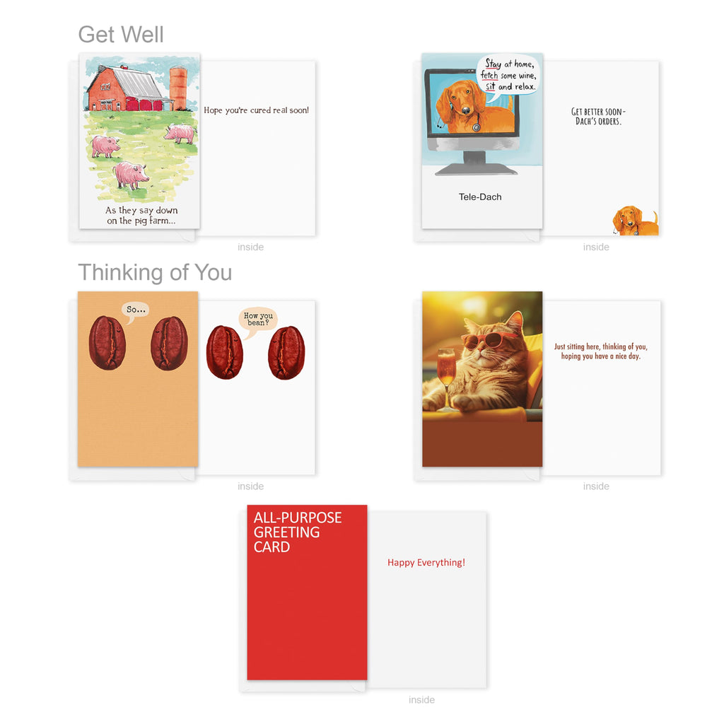 Recycled Paper Greetings 30-Count Funny All Occasion Card Assortment with Envelopes, Seals, and Storage Box by Hey Look!