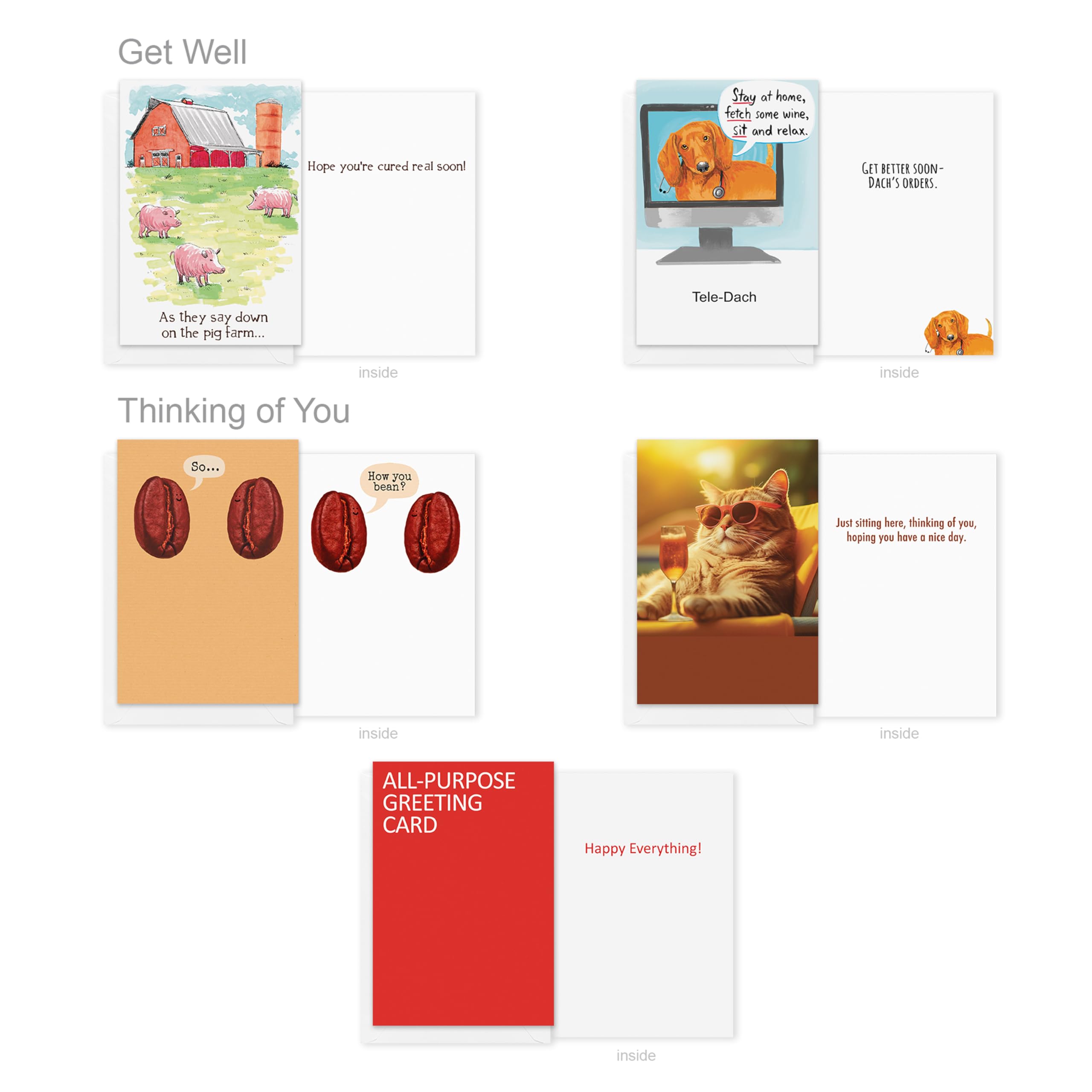 Recycled Paper Greetings 30-Count Funny All Occasion Card Assortment with Envelopes, Seals, and Storage Box by Hey Look!