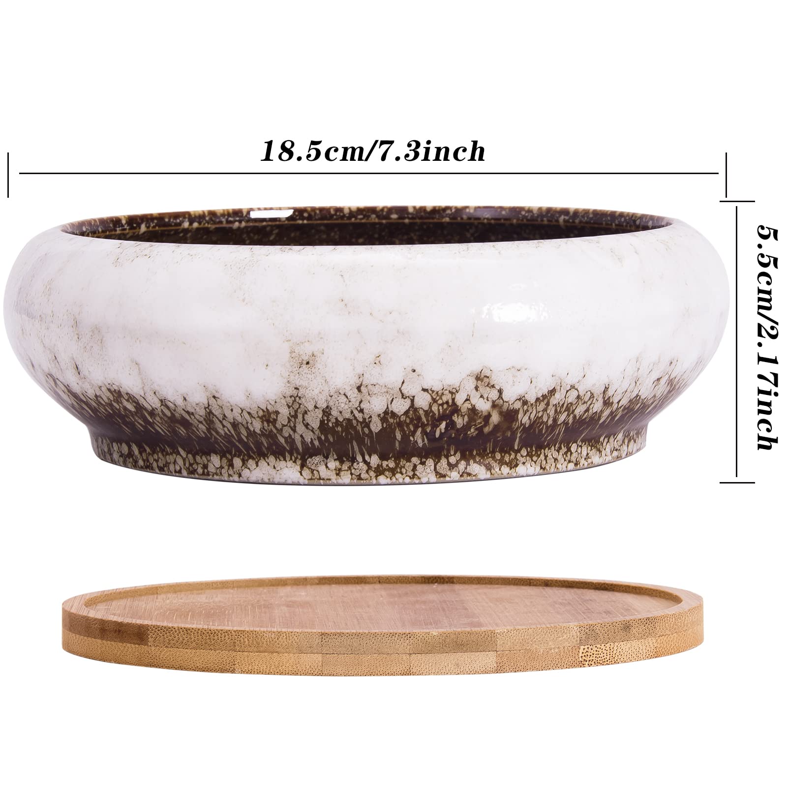 Succulent Pot - 7.3 Inch Succulent Planter with Drainage Hole Shallow Bonsai Pot with Tray, Large Ceramic Flower Pot Garden Decorative Cactus Plant Container Bowl