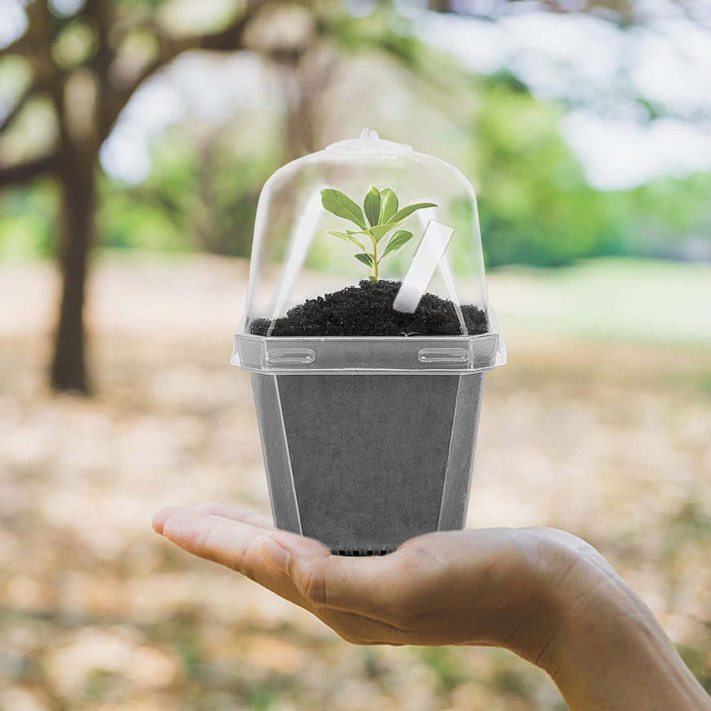 EBaokuup 10pcs Clear Plant Nursery Pots with Humidity Dome - 3" Durable Plastic Gardening Pot with Labels, Small Plant Container for Seedlings/Vegetables/Succulents/Cuttings (3“-10pcs)