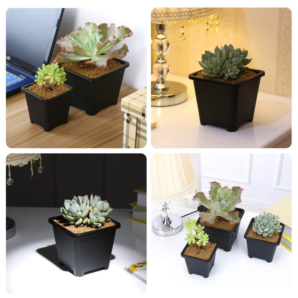2 Inch Plastic Nursery Pots 100 Pcs Sturdy & Reusable Square Plant Pot Starter Container with Drainage Holes for for Seed Starting, Succulents, Seedlings & Garden Plants, Black