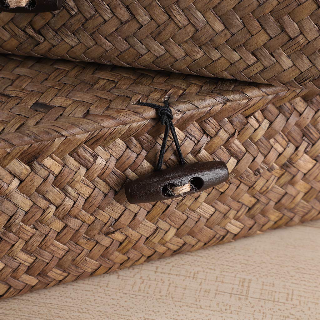 BTSKY Set of 2 Pack Woven Storage Baskets with Lids, Straw Wire Storage Organizer for Home/Office Supplies Such as Towels, Clothing, Cosmetics and Letters (Coffee)