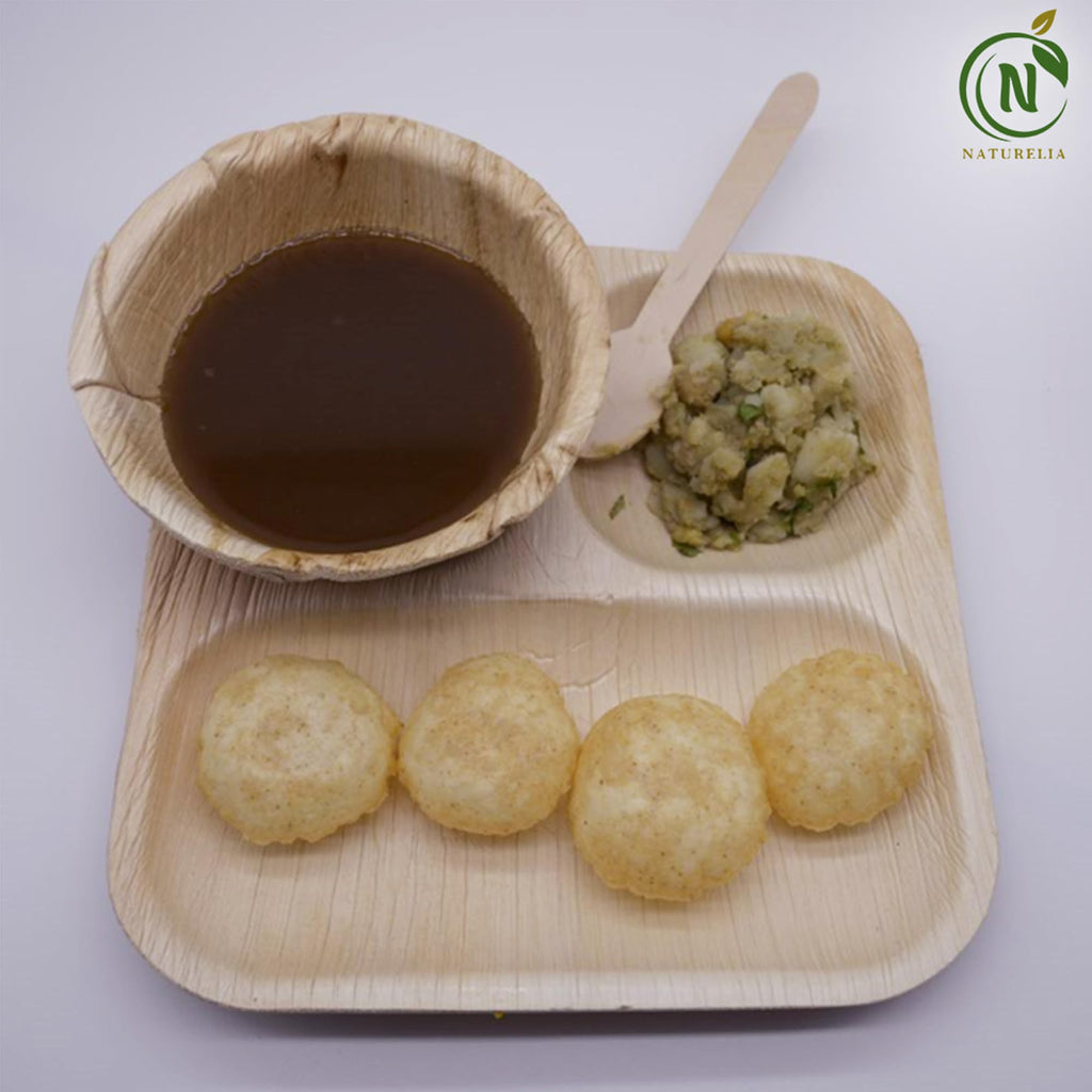Naturelia Areca Square 9-Inch Plate with 3 Partitions- Eco-Friendly, Biodegradable, Microwave & Oven Safe- Sustainable & Natural Cutlery Ideal for Weddings, Parties, Events