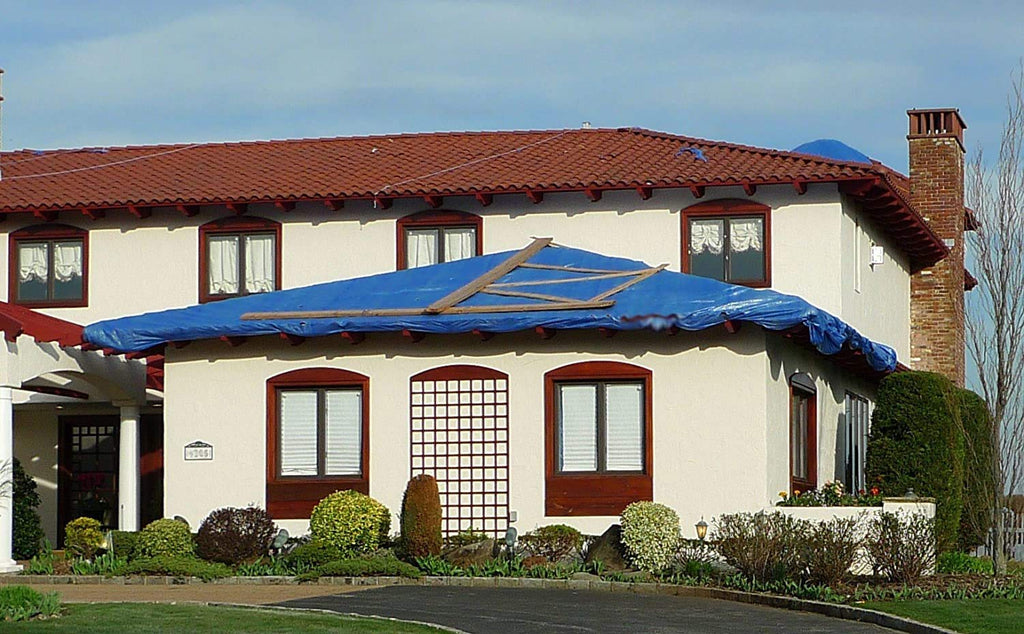 Kotap 10-ft x 20-ft General Purpose Blue Poly Tarp, Item: TRA-1020