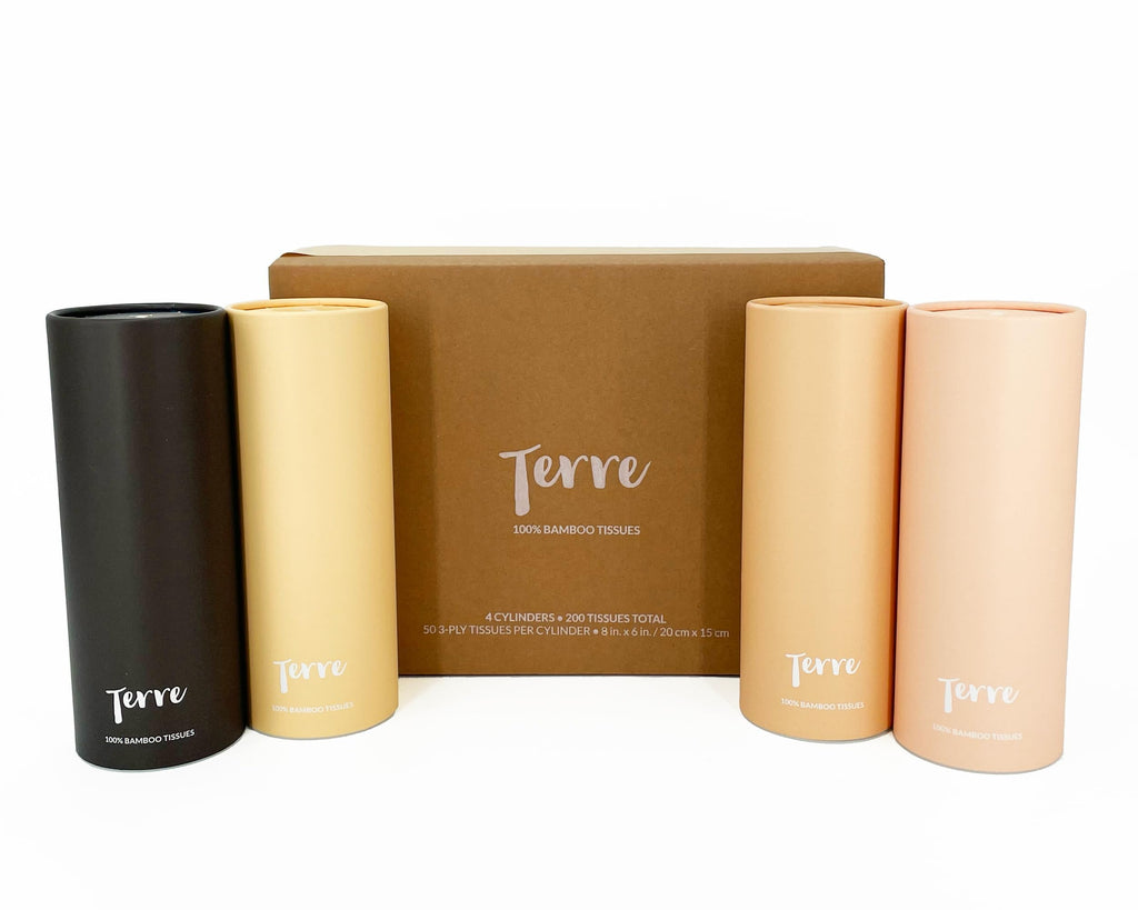Terre Bamboo Car Tissues, 3-Ply, Unbleached, Refillable, 4 Pack (200 Sheets Total), FSC-Certified, Eco-Friendly, On-The-Go Facial Travel Tissues, Tree-Free, Plant Based, Hypoallergenic, Sustainable