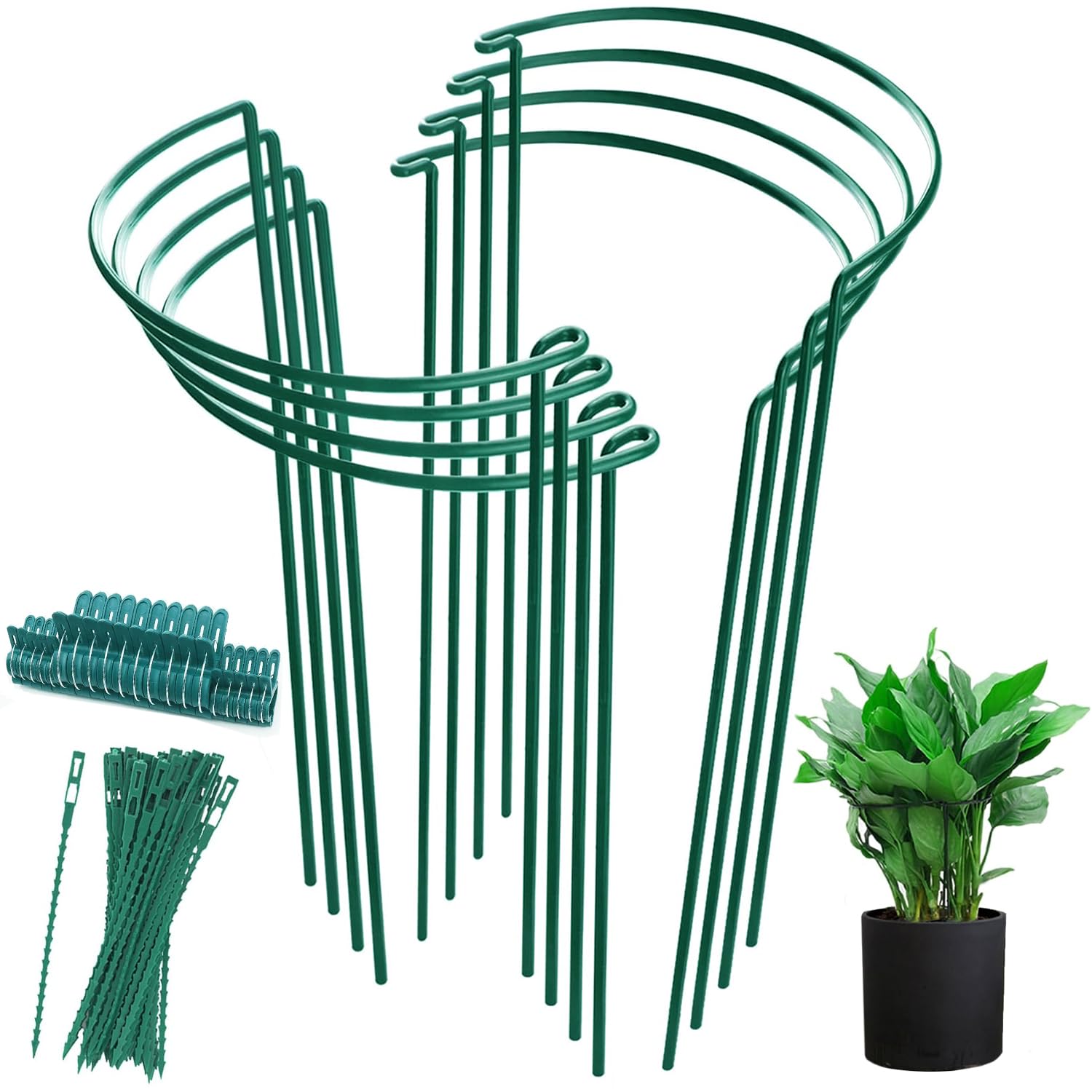 Plant Support Stake, 8 Pack Green Half Round Plant Support Ring Metal Garden Stem Support Stake with 20 Pcs Plant Clips & Plant Ties for Potted Plants Tomato Vegetable Flowers (9.8“W x 15.7”H)