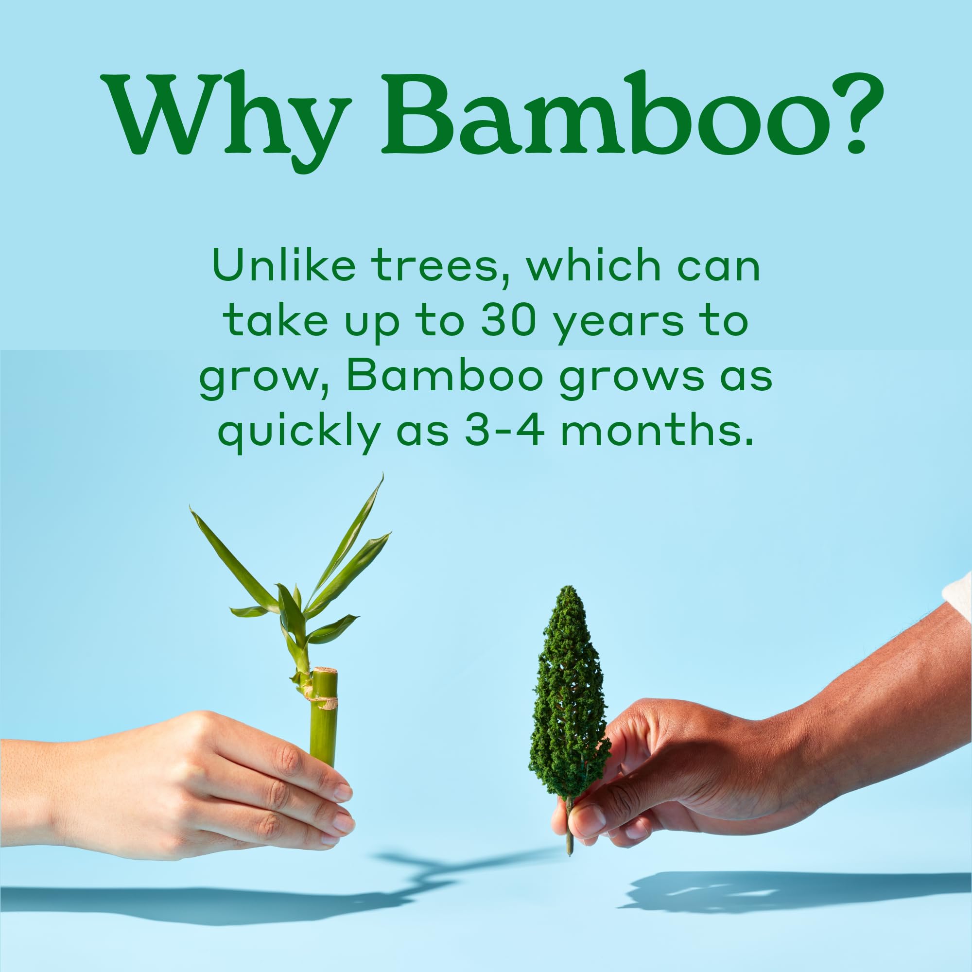 Caboo Tree Free Facial Tissues, 3 Ply Natural Tissue Paper, Pack of 4, Hypoallergenic Tissue Boxes, 60 Tissues Per Box, 240 Total Tissues