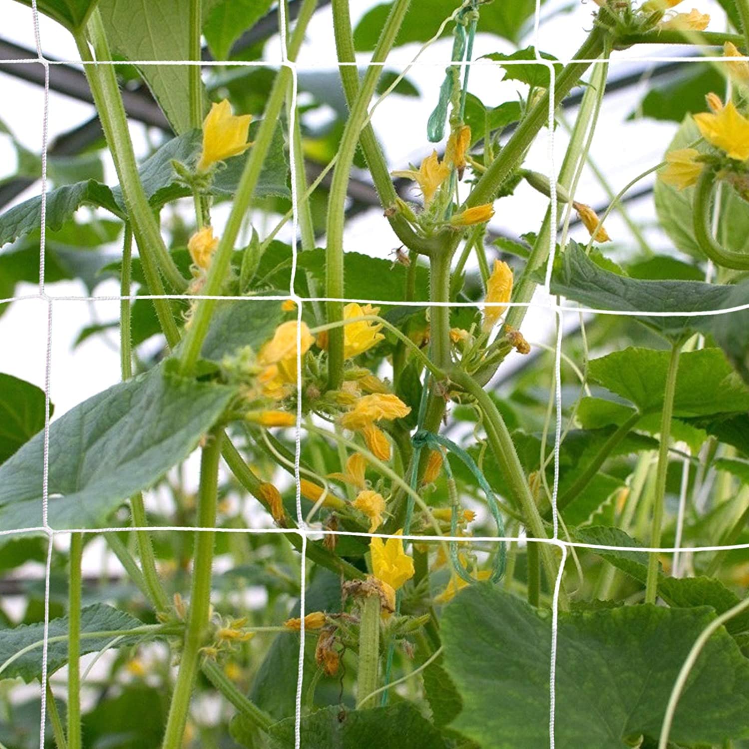Garden Trellis 5x30Ft 3 Pack Trellis Netting for Plant Climbing Fruits and Vegetables, Hydroponics Grow Net