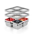 BEFOY 4 Pack Stainless Steel Snack Containers with Lids 4 Compartment Food Storage Containers for Adults & Kids Meal Prep Containers Reusablele (grey, 2)
