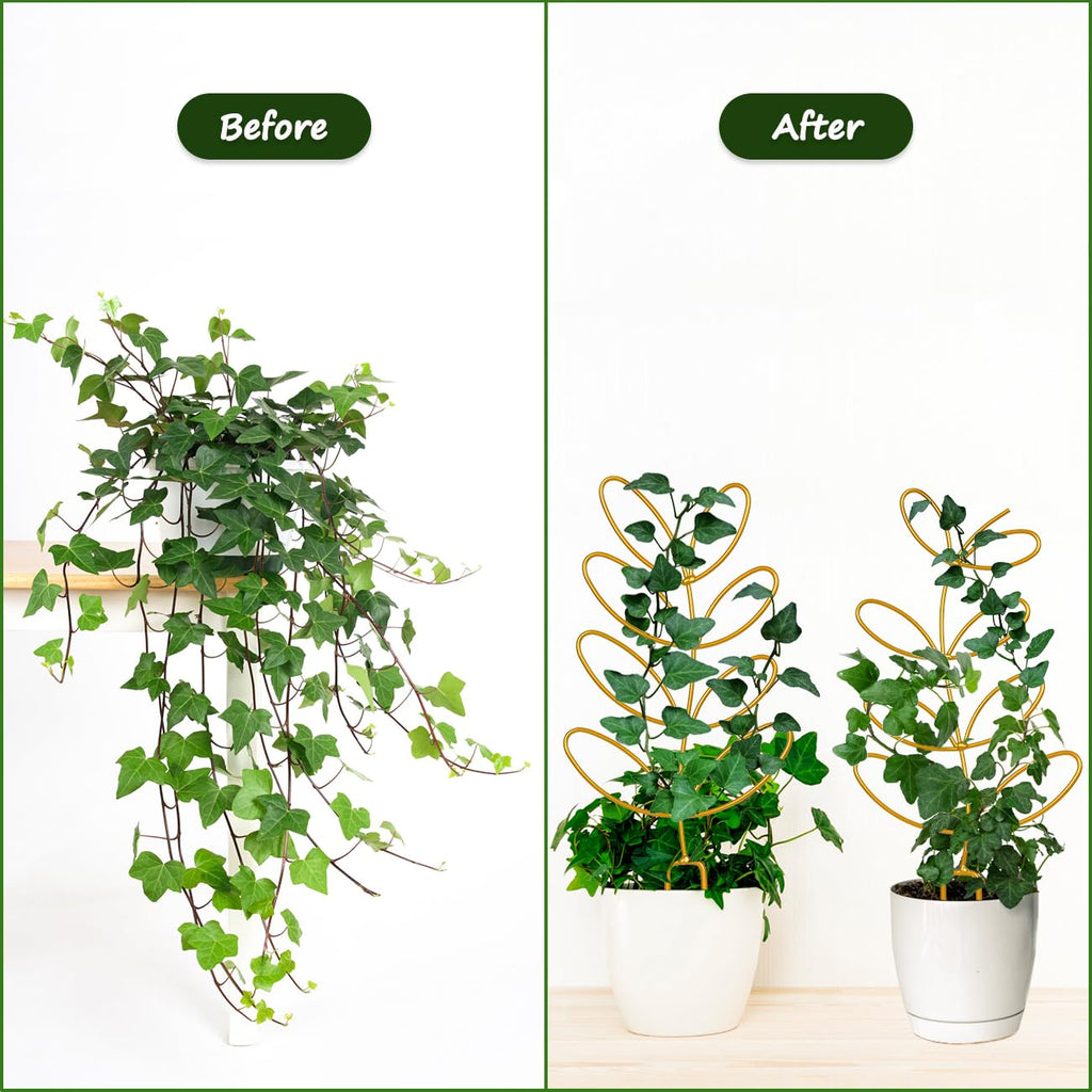 Trellis for Potted Plant,Metal Wire Stake for Climbing Plants Indoor Houseplant Lover,Trellis for Garden Potted Plant,Hoya,Pothos,Flower,Monstera-PLJ-009_CA