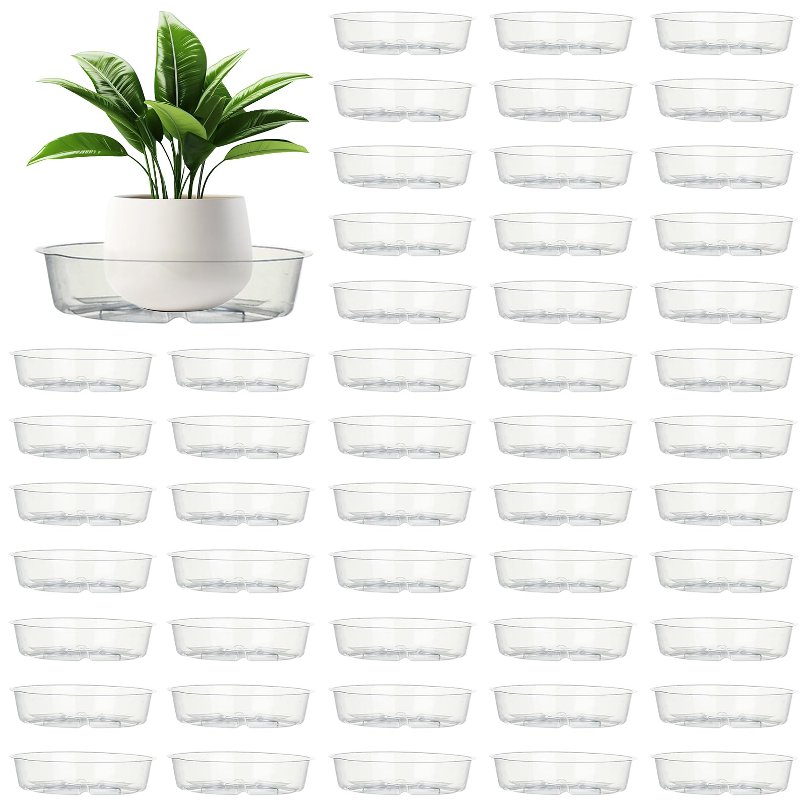Voittozege 50 Pcs Clear Plant Saucers, 6 Inch Clear Plastic Plant Pot Saucer Flower Water Tray, Round Small Plant Plate for Garden Potted Water Drips Indoor and Outdoor