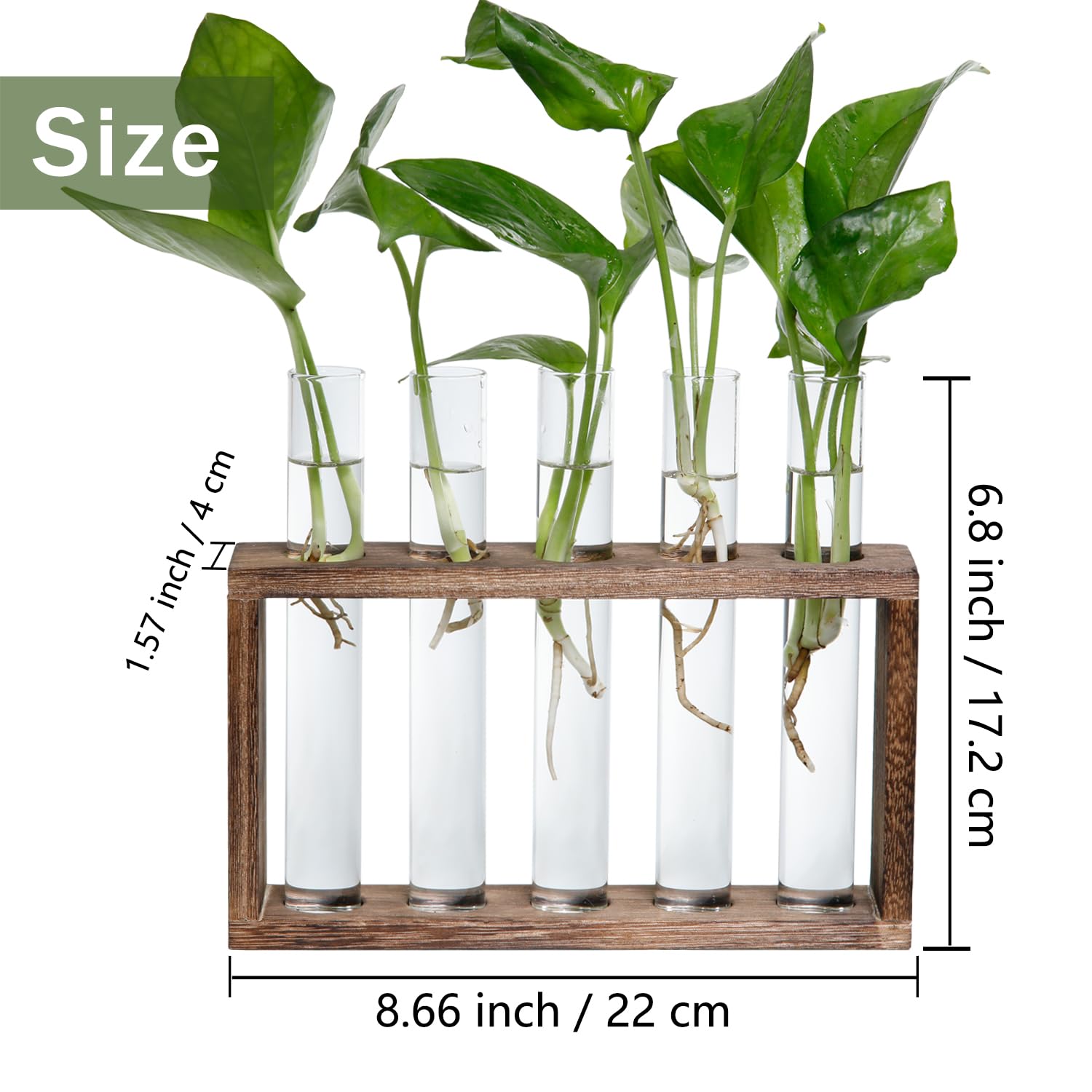 Decoration, Plant Propagation Station Decoration Maison Garden Decor, Indoor Home Office Desk Decor Plant Holder Flower Pot Gifts for Women Mom Best Friend Birthday Gifts 5 Planter Glass Vase
