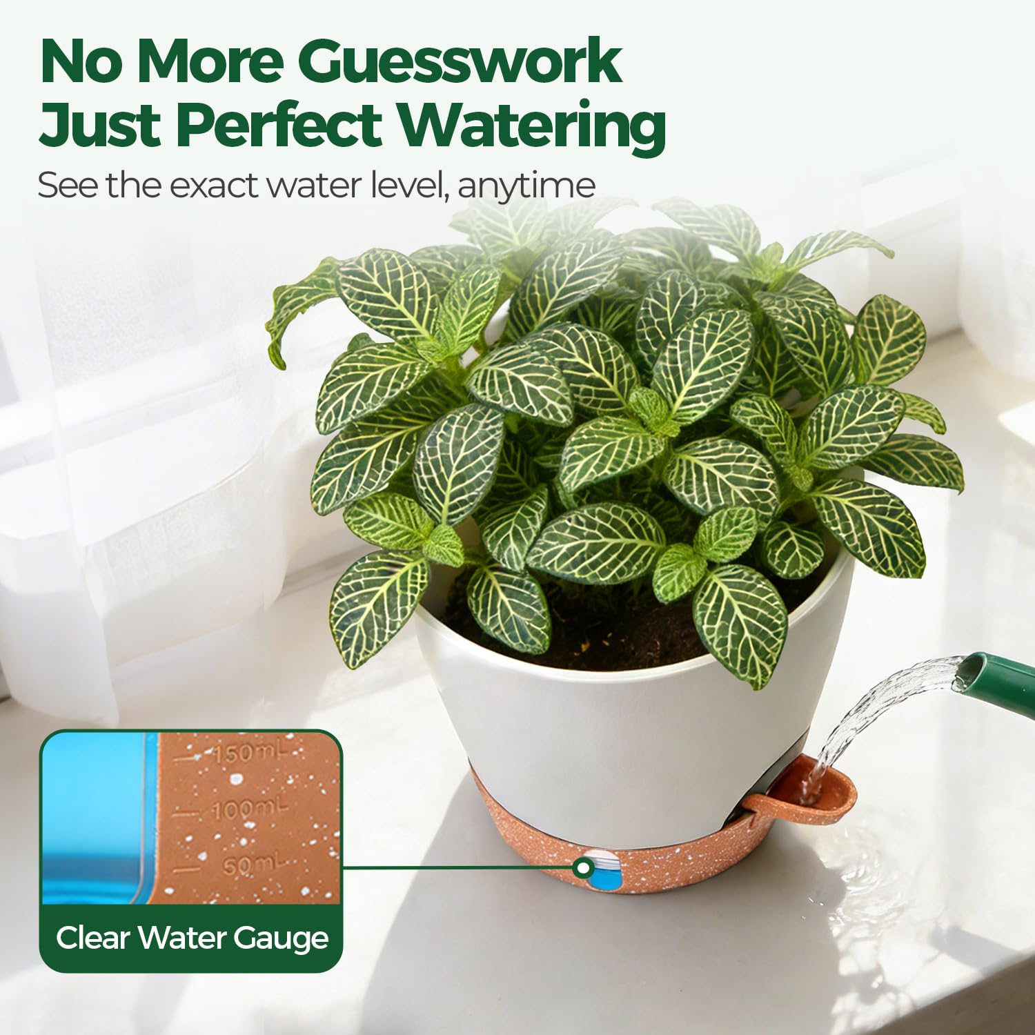 T4U Self Watering Pots 6 Inch 4 Pack, Plastic Planters with Water Level Window and Wick Rope for Busy People, Bottom Watering Pot for African Violets, Herbs and Pothos, Indoor Home Decor(White)