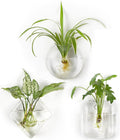 Mkono Wall Planter Propagation Stations Hanging Glass Terrariums Vase Container for Propagating Hydroponic Plants Home Office Living Room Bathroom Garden Decor, 3 Pack