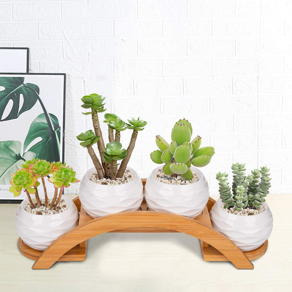 Yarlung 4 Pack Succulent Plant Pots and Stand Set, Ceramic Mini Planter Pots with Bamboo Tray, 2.75 Inch Small Cactus Flower Pot for Garden, Office Desk, Home Decor (No Plants Included)