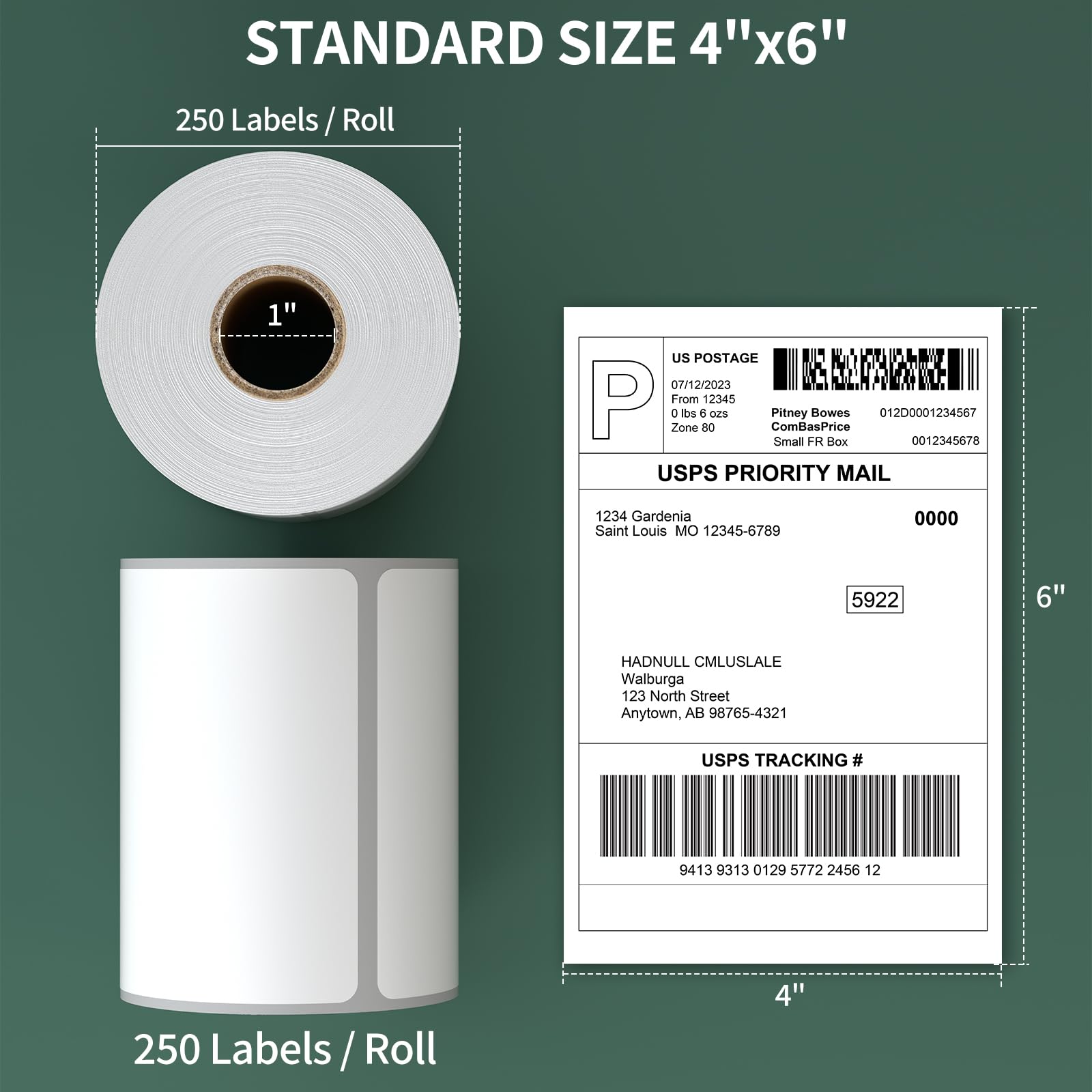 4”x6” Thermal Labels Shipping Labels, BESTIKER 4”x6” Direct Thermal Labels 4 Rolls, Compatible Zebra 2844 Rollo Thermal Printer Label 4x6 with Perforated, 250 Labels/Roll, 1” Core, Total 1000 Labels