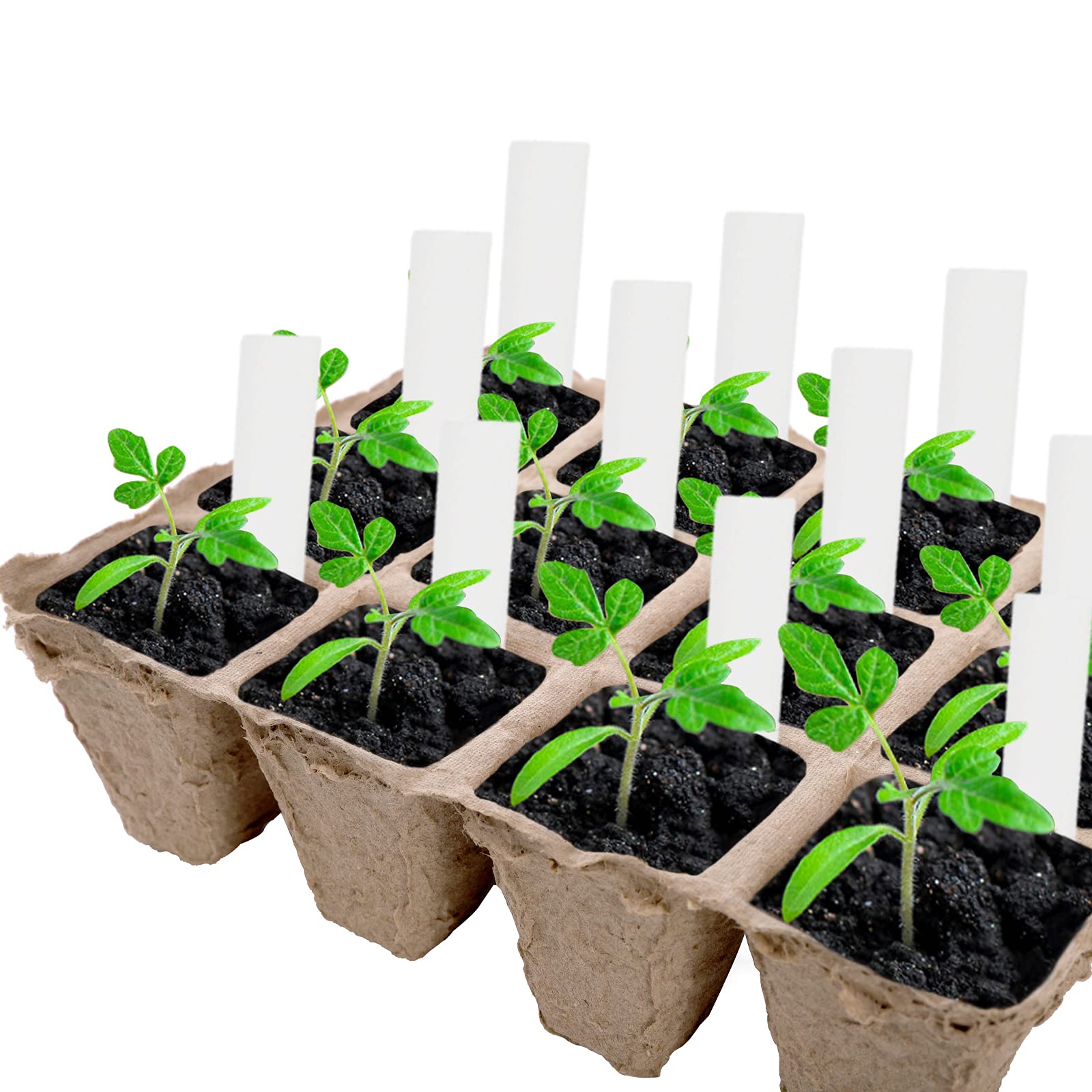 Jucoan 40 Pack Peat Pots Seed Starter Trays, 480 Cells Germination Seedling Pots, Organic Biodegradable Plant Germination Tray with 40 Plant Labels for Vegetable Flower, Herbs, Indoor Outdoor Garden