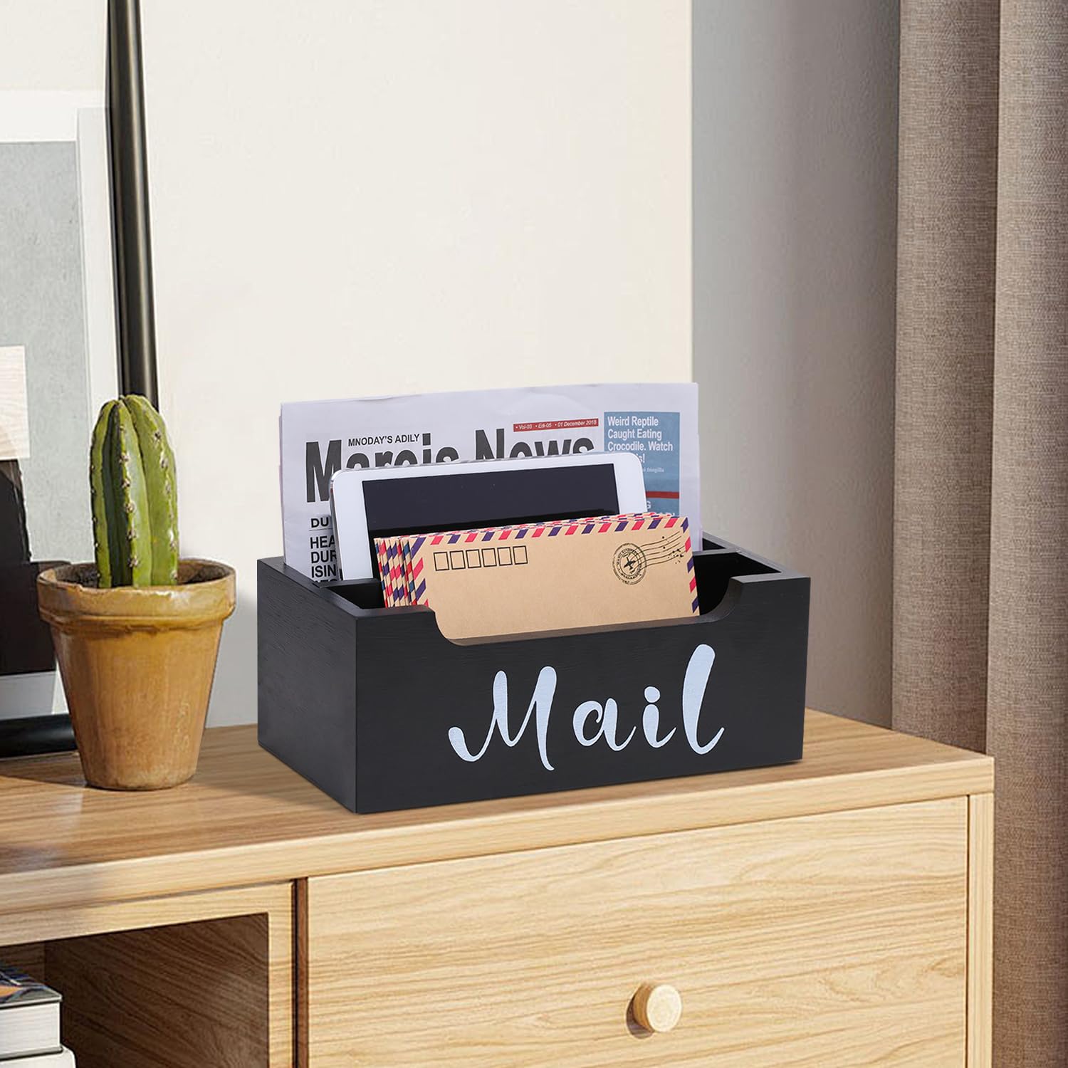 ZBBCTUS Mail Organizer Wall Mounted with 2 Slots & Removable Grids, Black Mail Sorter Basket, Wood Desk Mail Holder Countertop Hanging for Home Office Decor