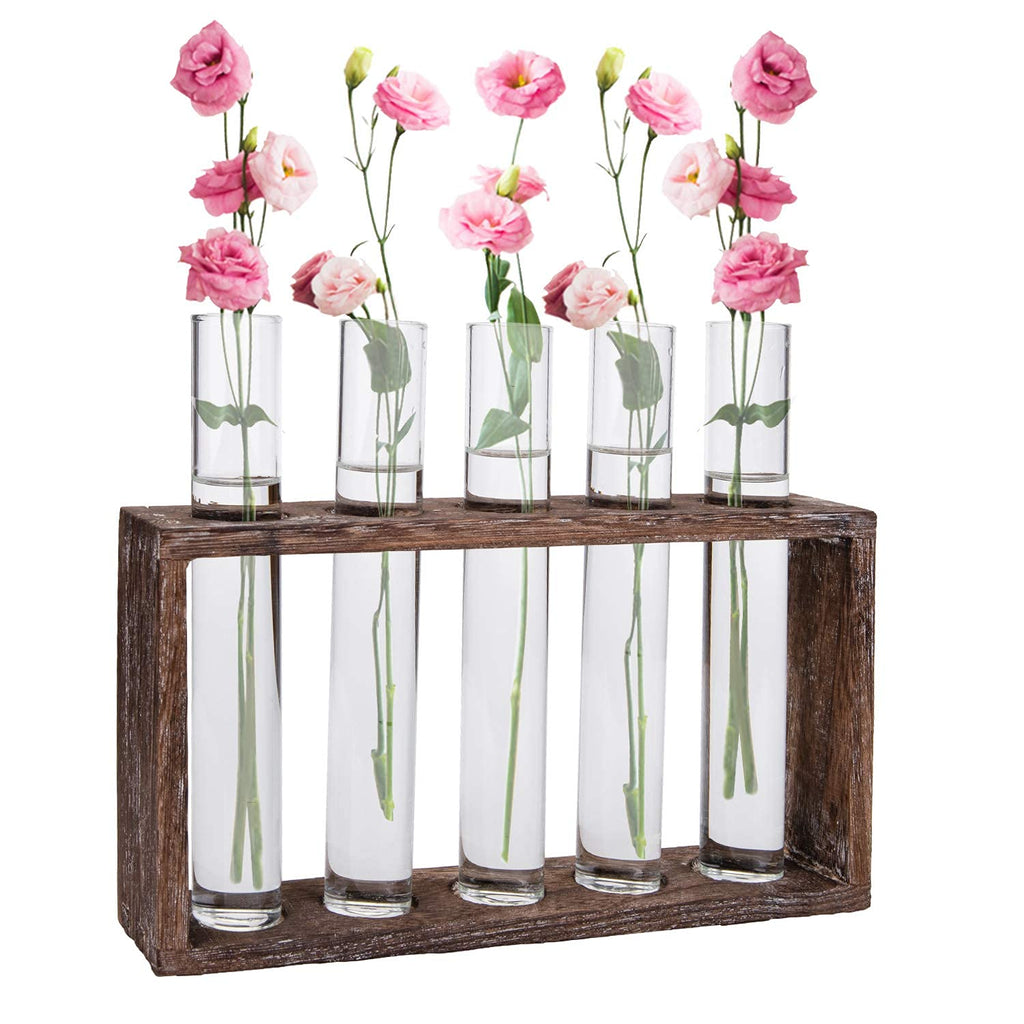 Jucoan Glass Planter Propagation Station, Wall Hanging Plant Terrarium with Wooden Stand, Glass Test Tube Flowers Bud Vase for Hydroponic Plants, Home Office Decor (5 Test Tubes &1 Brush)