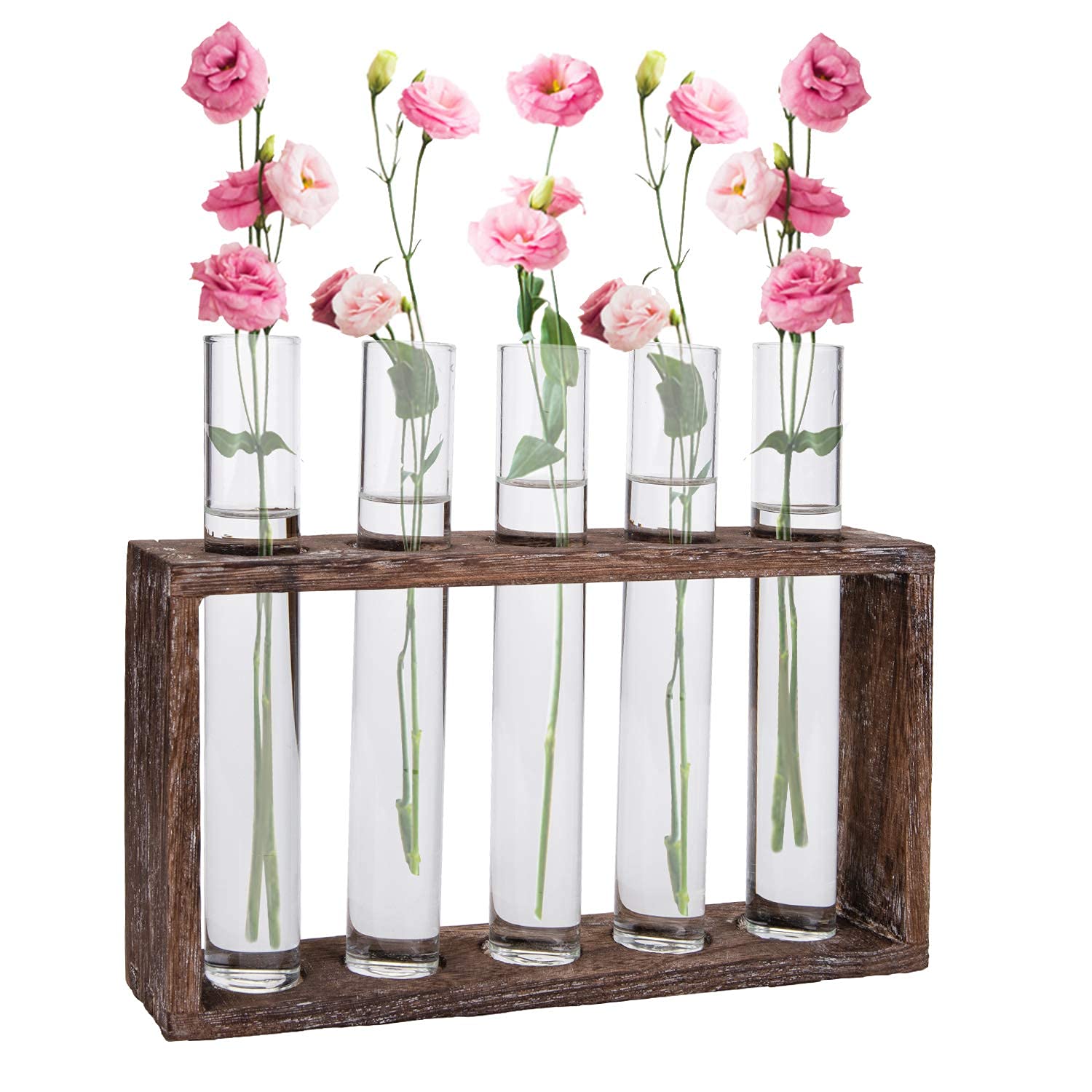 Jucoan Glass Planter Propagation Station, Wall Hanging Plant Terrarium with Wooden Stand, Glass Test Tube Flowers Bud Vase for Hydroponic Plants, Home Office Decor (5 Test Tubes &1 Brush)